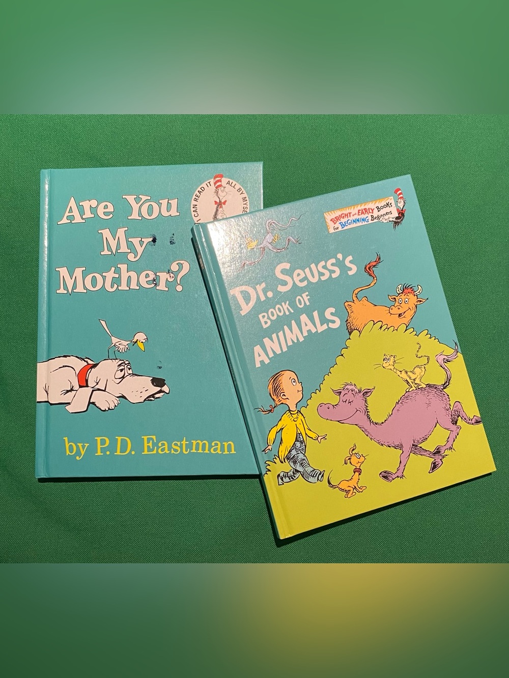 Dr. Seuss Teal & Yellow Children's Picture Book Pair - Picture 2 of 15
